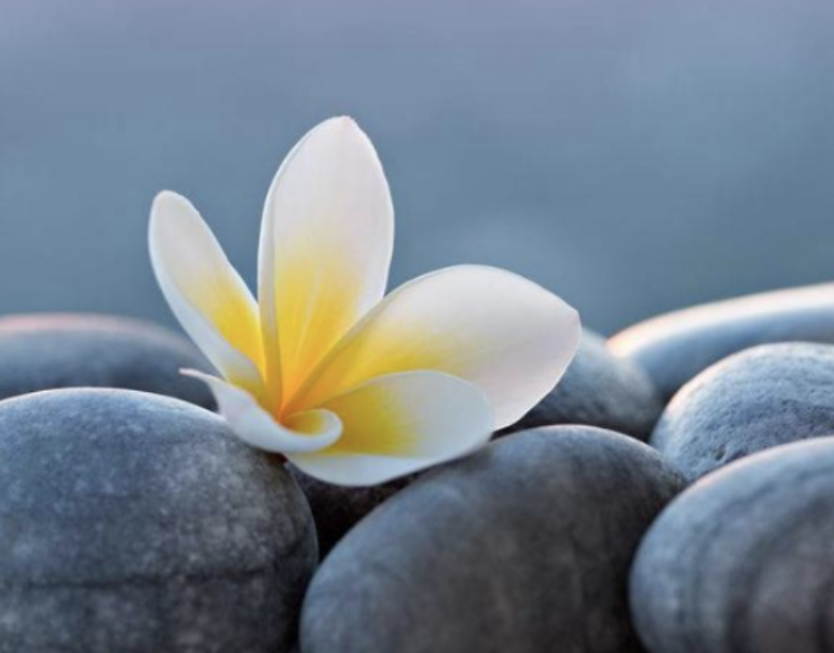 screenshot 2026 02 05 10.00.33 am