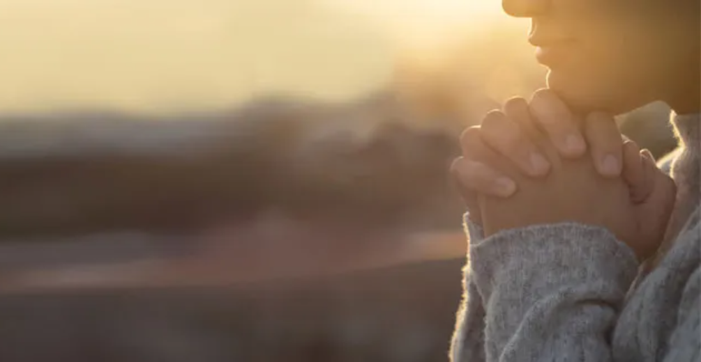 screenshot 2026 02 17 2.01.17 pm