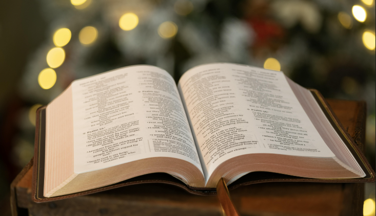 writing screenshot 2026 02 18 12.32.16 pm